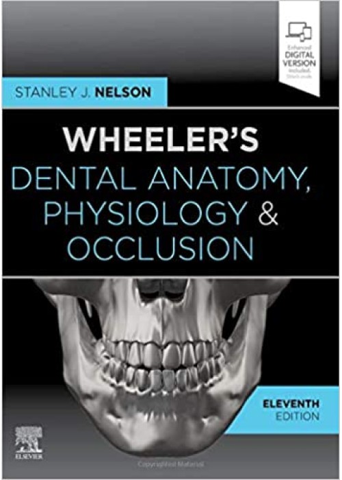 Wheeler's Dental Anatomy, Physiology and Occlusion10